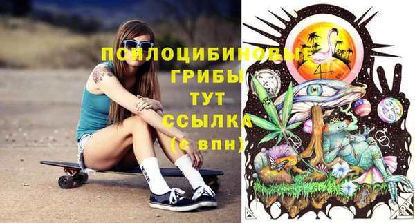 таблы Арсеньев