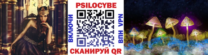 Псилоцибиновые грибы Cubensis  omg ONION  Новоалександровск 